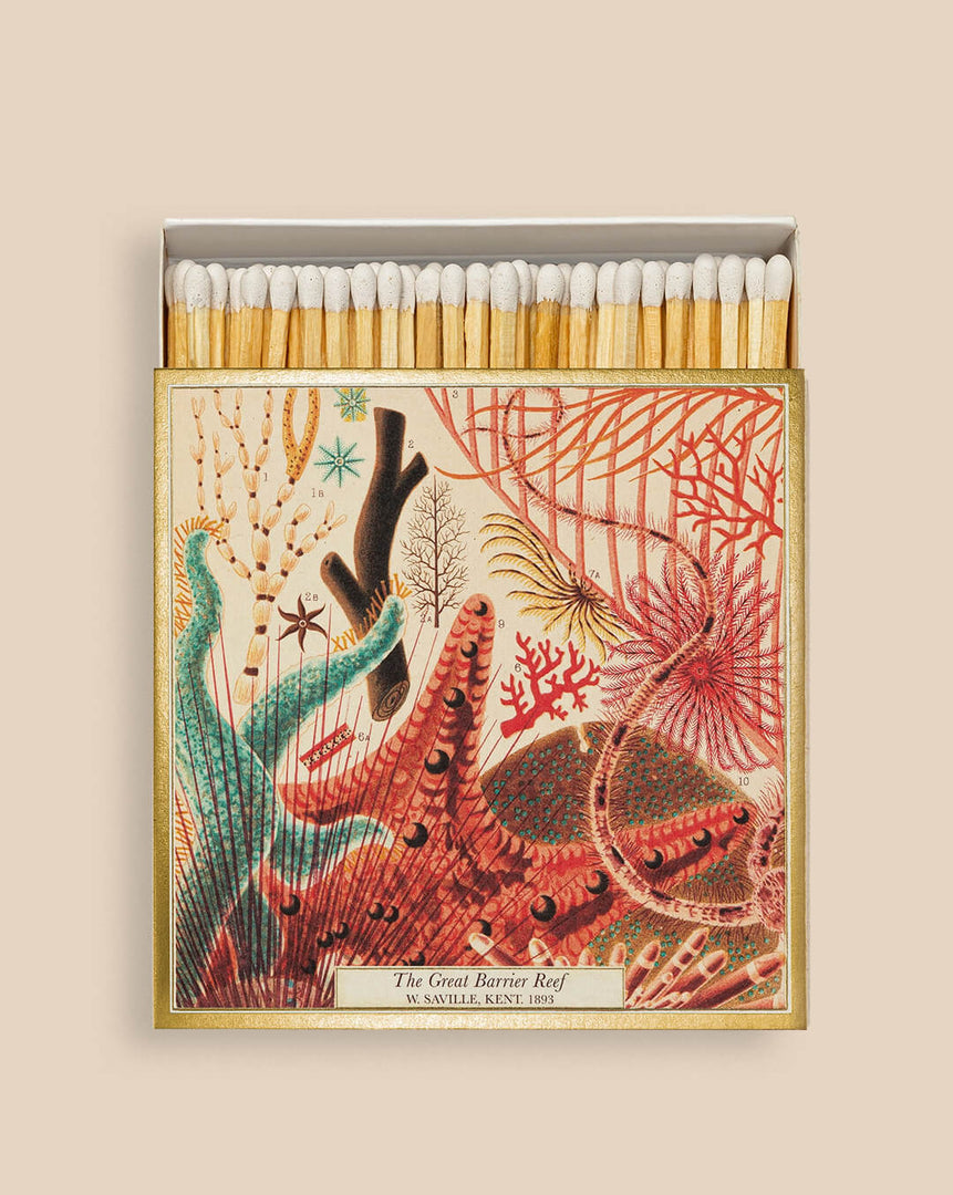 Great Barrier Reef Luxury Matches