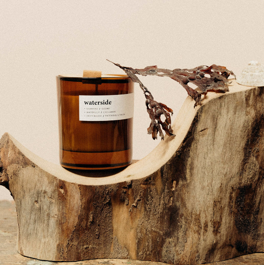 A medium amber soy candle with a white label, named 'waterside', displayed on a natural wooden platform with seaweed and driftwood accents.